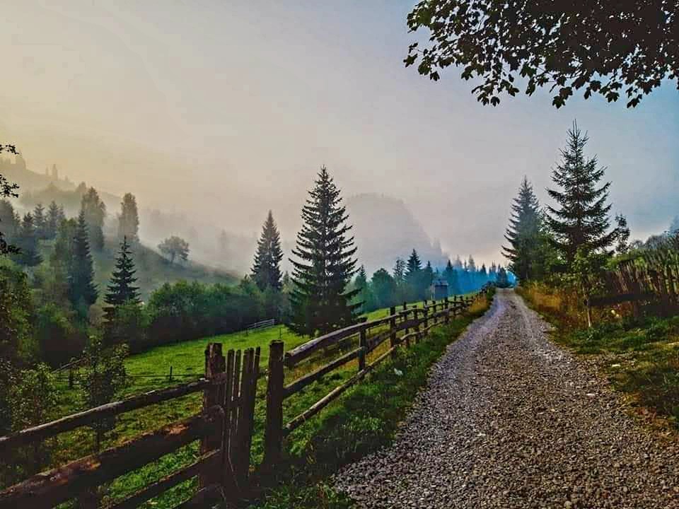 Peisaj montan